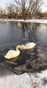 486117299 3813859825546033 3797375013048487921 n